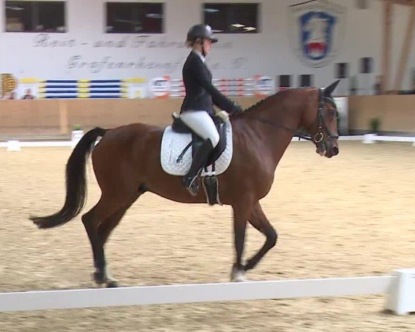Reitturnier Grafenrheinfeld/Ufr. 2024
