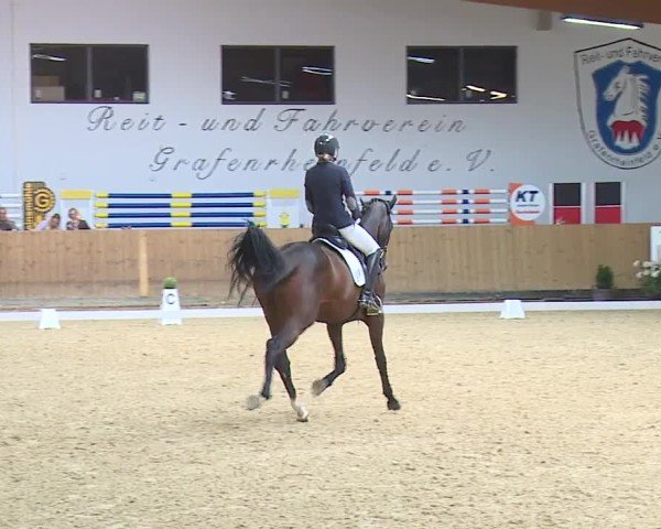 Reitturnier Grafenrheinfeld/Ufr. 2024