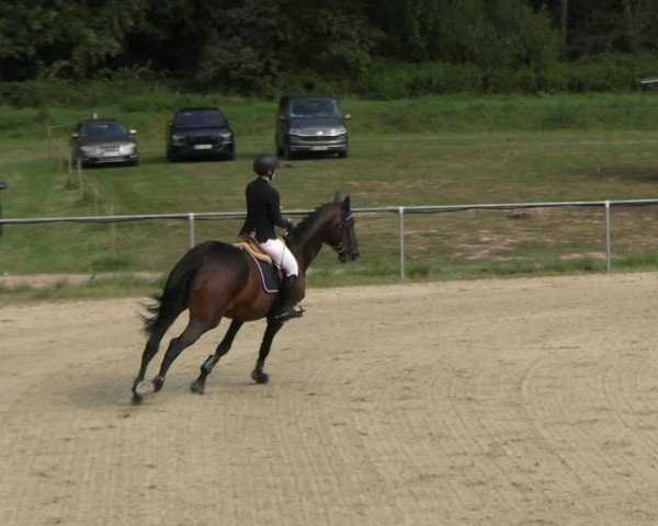 Reitturnier Bad Liebenstein/Sorga 2024