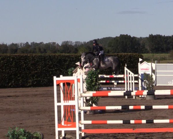 Reitturnier Lentzke - Reitanlage Krehl 2024