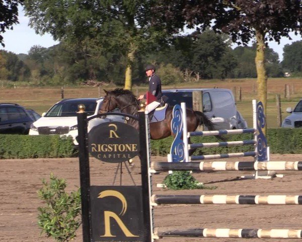 Reitturnier Lentzke - Reitanlage Krehl 2024
