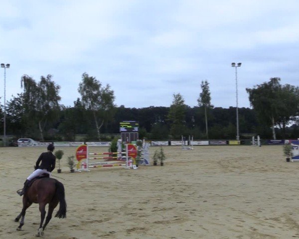 Reitturnier Seppenrade 2024