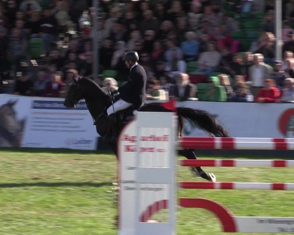 Reitturnier Mühlengeez 2024