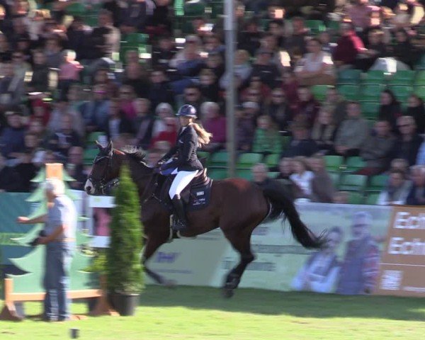 Reitturnier Mühlengeez 2024