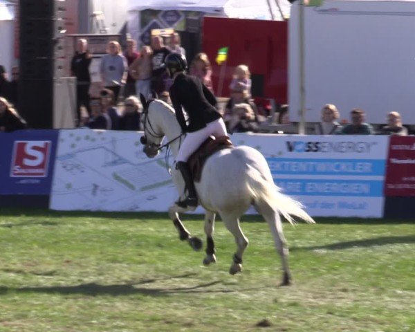 Reitturnier Mühlengeez 2024
