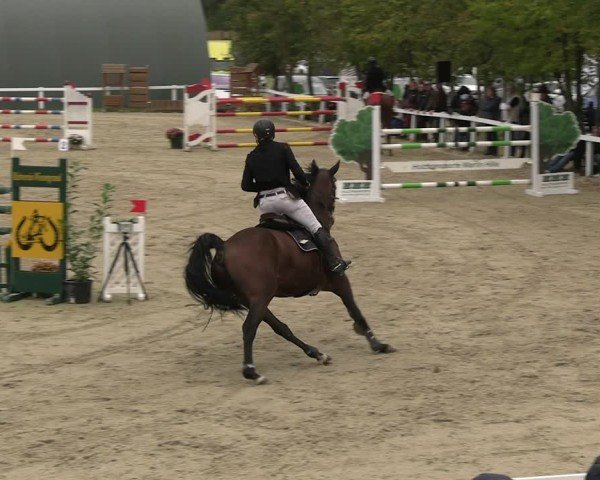 Reitturnier Bad Schmiedeberg 2024