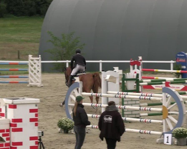 Reitturnier Bad Schmiedeberg 2024