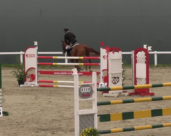 Reitturnier Bad Schmiedeberg 2024