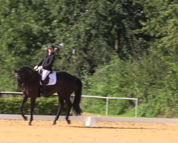 Reitturnier Seppenrade 2024