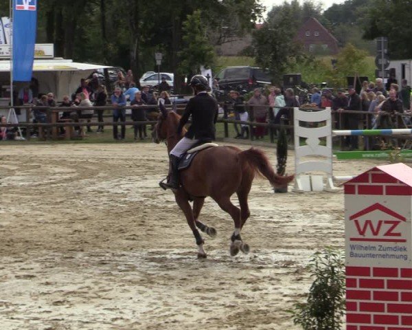 Reitturnier Albersloh 2024
