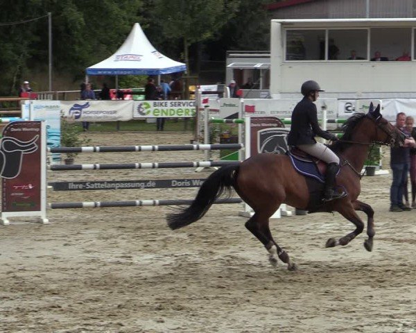 Reitturnier Albersloh 2024