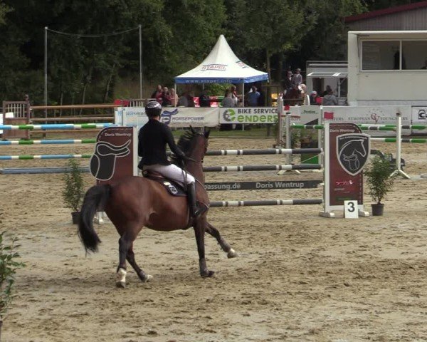 Reitturnier Albersloh 2024