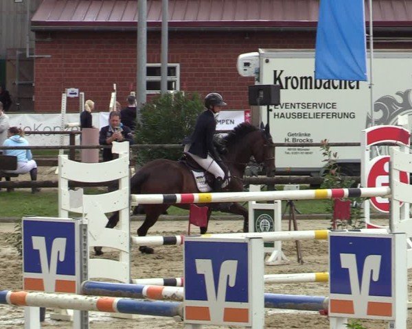 Reitturnier Albersloh 2024