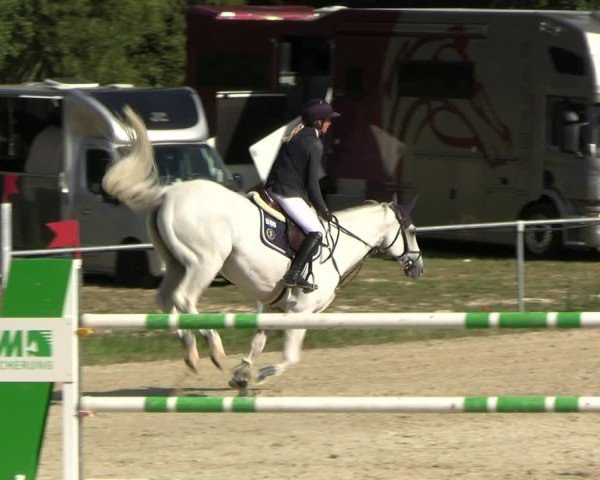 Reitturnier Bad Liebenstein/Sorga 2024