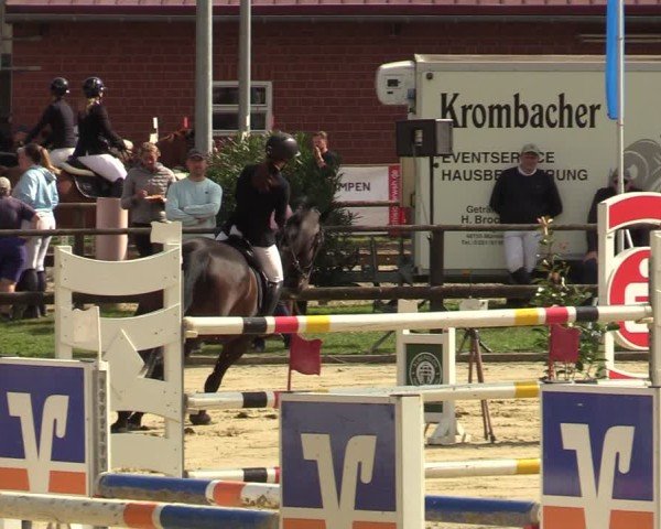 Reitturnier Albersloh 2024