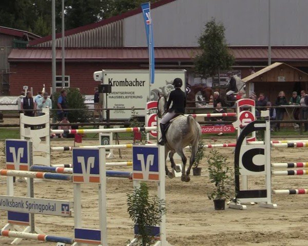 Reitturnier Albersloh 2024