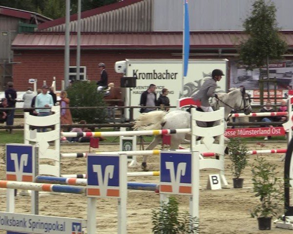 Reitturnier Albersloh 2024