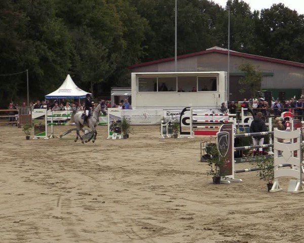Reitturnier Albersloh 2024