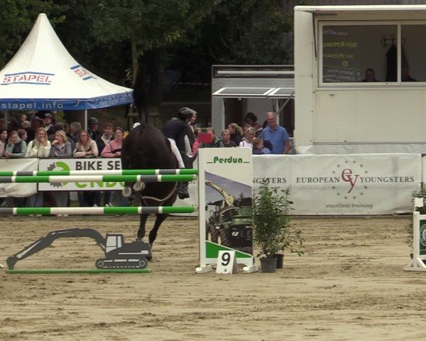 Reitturnier Albersloh 2024