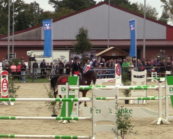 Reitturnier Albersloh 2024