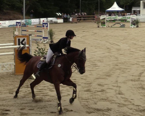 Reitturnier Albersloh 2024