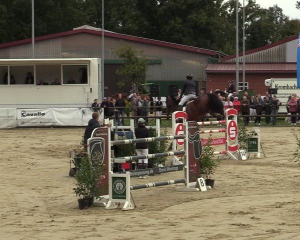 Reitturnier Albersloh 2024