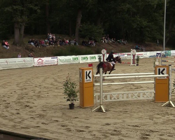 Reitturnier Albersloh 2024
