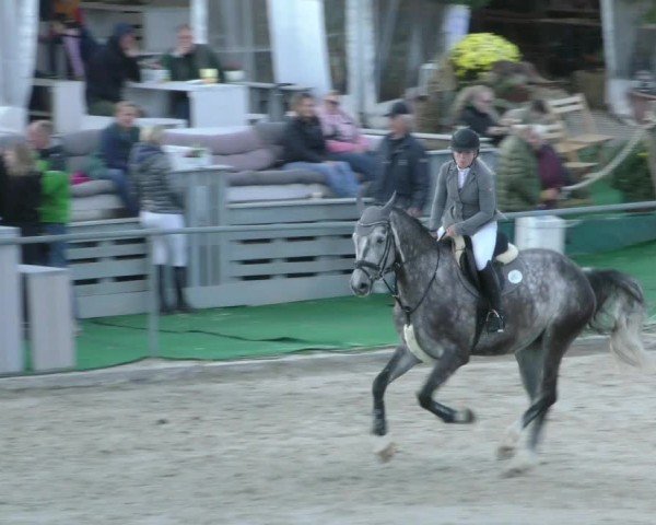 Reitturnier Harsum-Hüddessum 2024