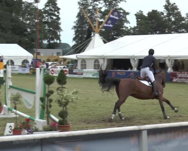 Steinhagener Reitertage 2013