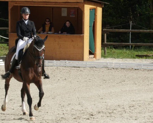 Reitturnier Ditzingen 2024