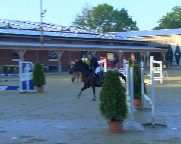 Reitturnier Laer 2024