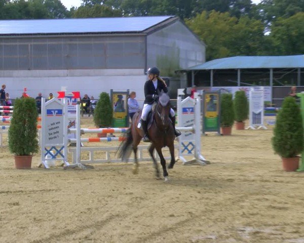 Reitturnier Laer 2024