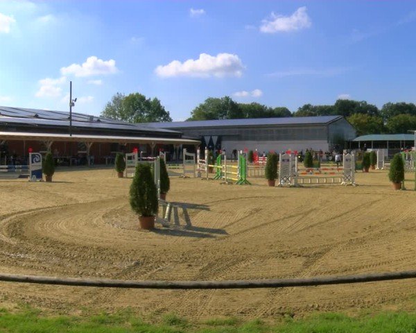 Reitturnier Laer 2024