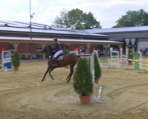 Reitturnier Laer 2024