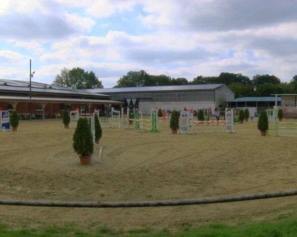 Reitturnier Laer 2024