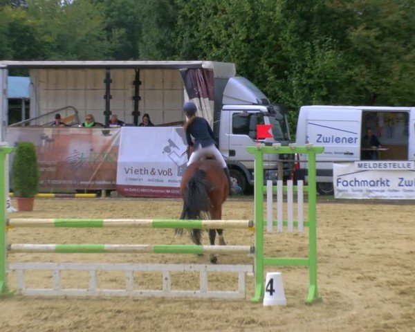 Reitturnier Laer 2024