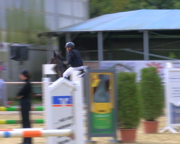 Reitturnier Laer 2024