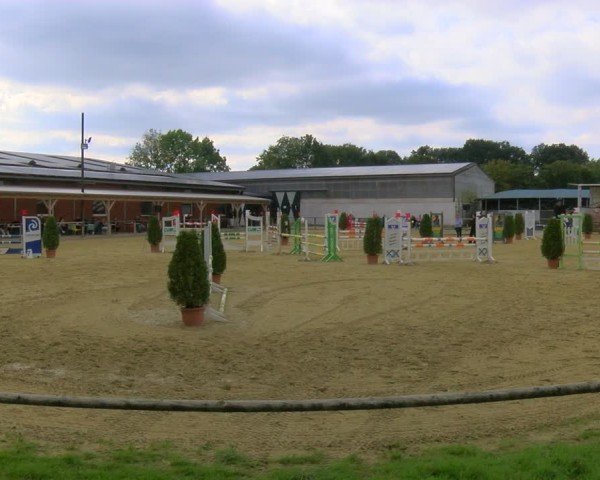 Reitturnier Laer 2024