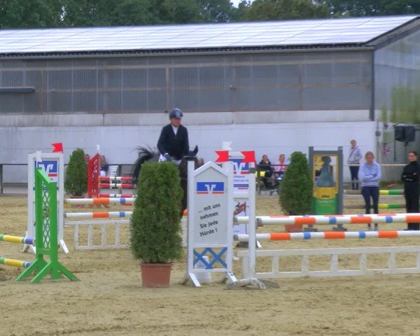 Reitturnier Laer 2024