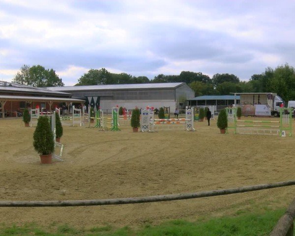Reitturnier Laer 2024