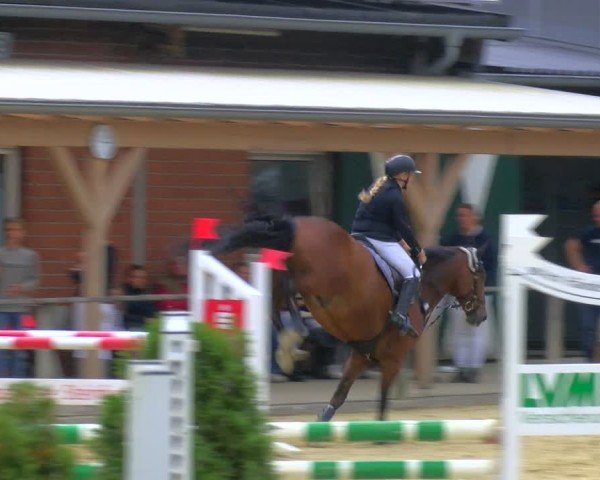 Reitturnier Laer 2024