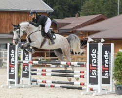 jumper Vijador (German Warmblood, 2018, from Vingino)