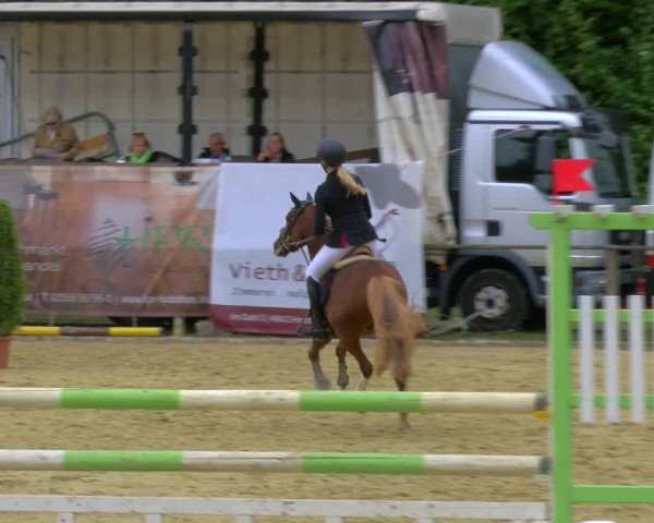 Reitturnier Laer 2024