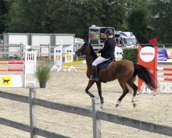 Pferdesporttage Neuendorf SO 2021