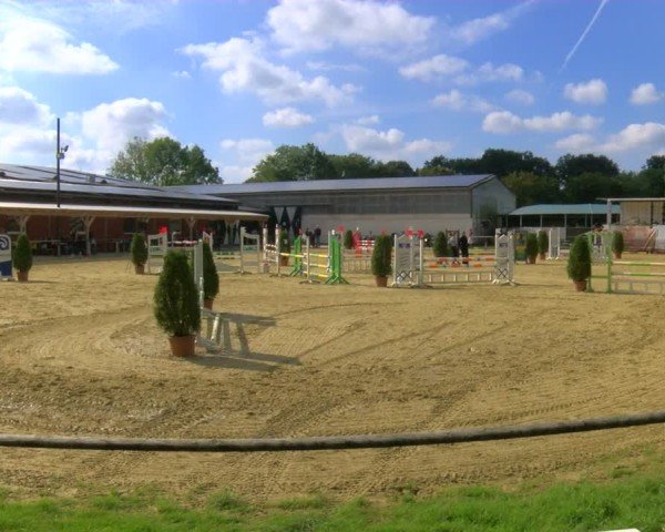 Reitturnier Laer 2024