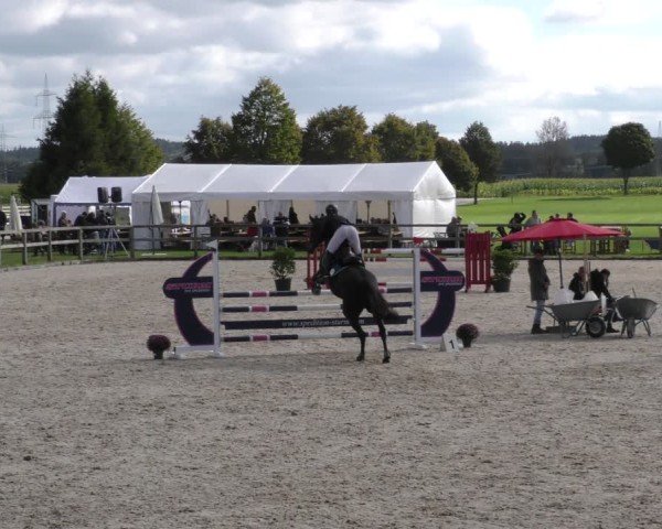 Reitturnier Honsolgen-Buchloe/Schw. 2024