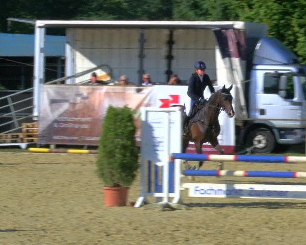 Reitturnier Laer 2024