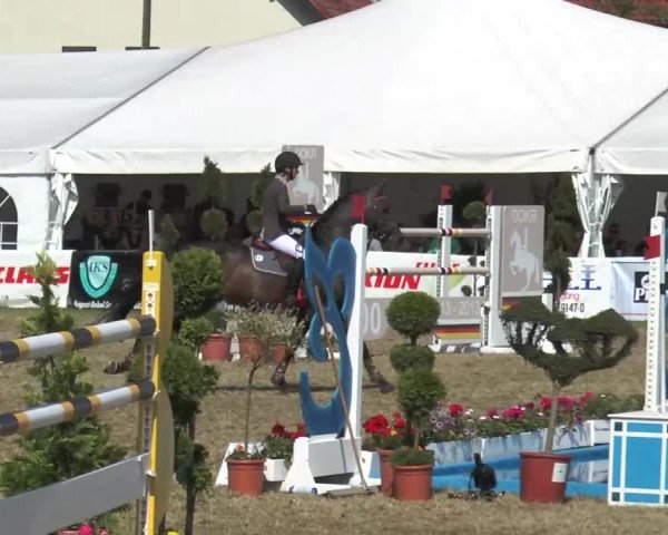 Steinhagener Reitertage 2013