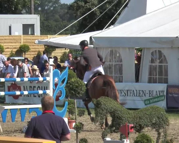 Steinhagener Reitertage 2013