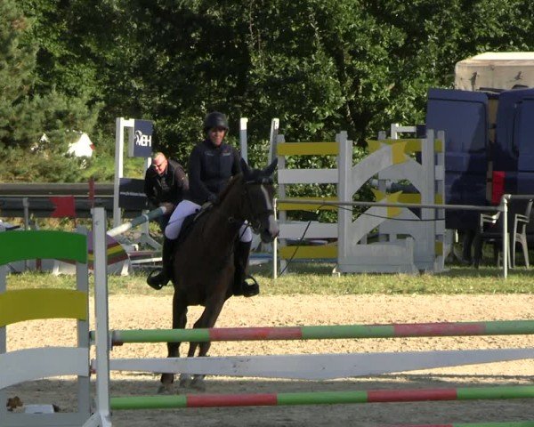 Reitturnier Bad Liebenstein/Sorga 2024